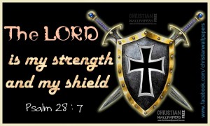 The LORD  is my strength and my shield