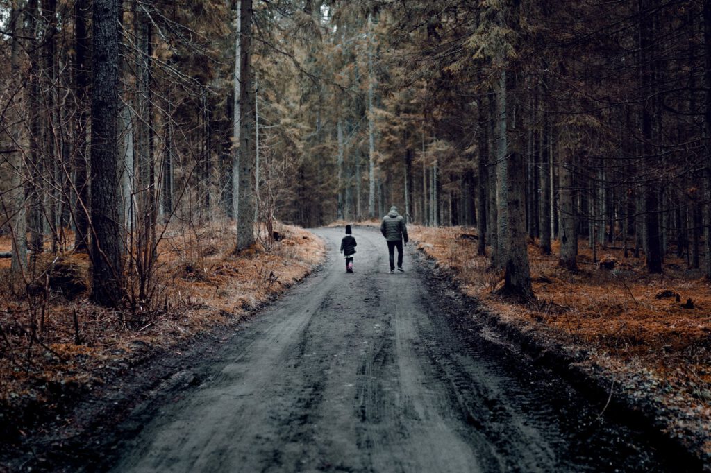 two people walking on road between trees